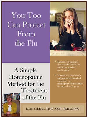 Cover_Flu_Booklet