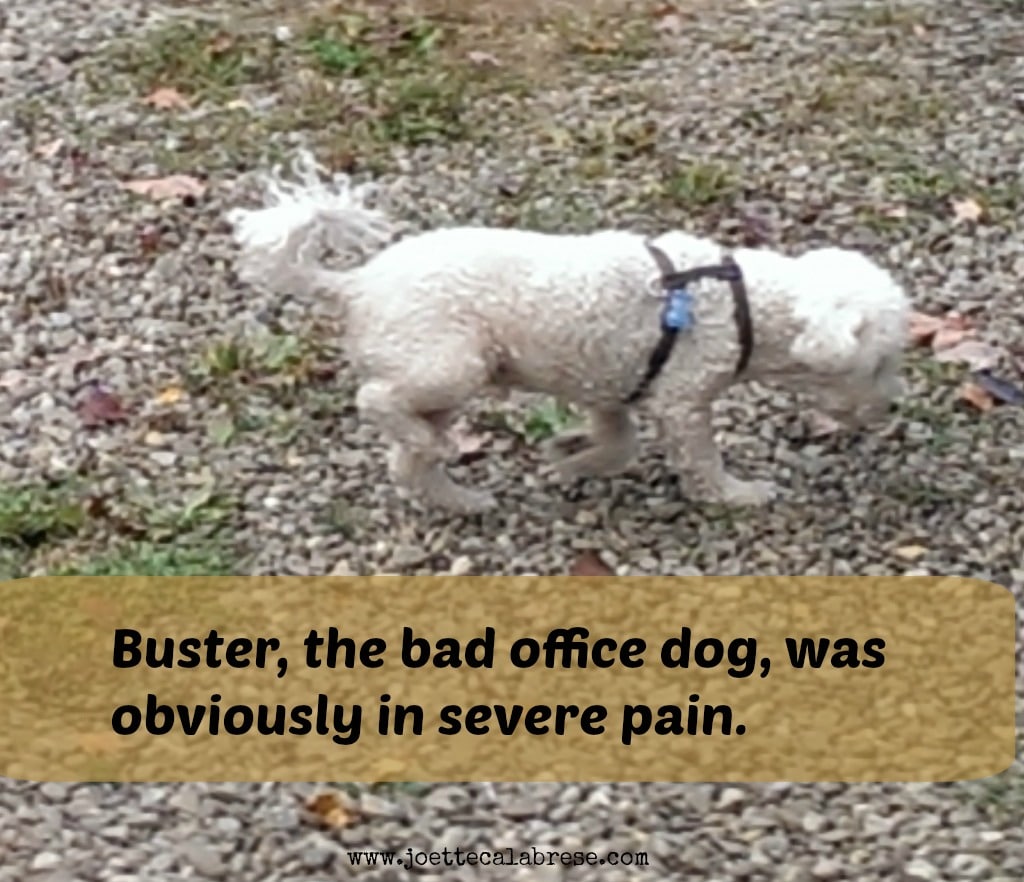 Buster