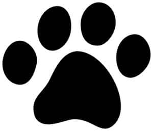 paw