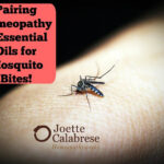 Mosquito Bites? Let Homeopathy and Essential Oils Help