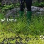 Lyme, Lyme, Lyme:  Just Making Sure You Know What to Do