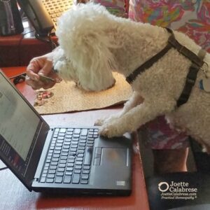 Buster on the keyboards