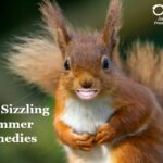 My Top 5 Sizzling Summer Remedies