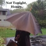 Not Tonight, Honey
