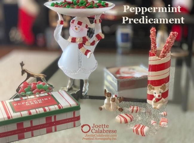 The Peppermint Schnapps Predicament by Clare London