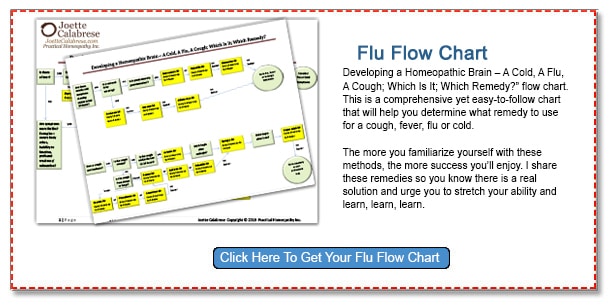 Click Here to Get Your Flu Flow Chart