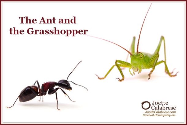 The Ant and the Grasshopper - JoetteCalabrese.com