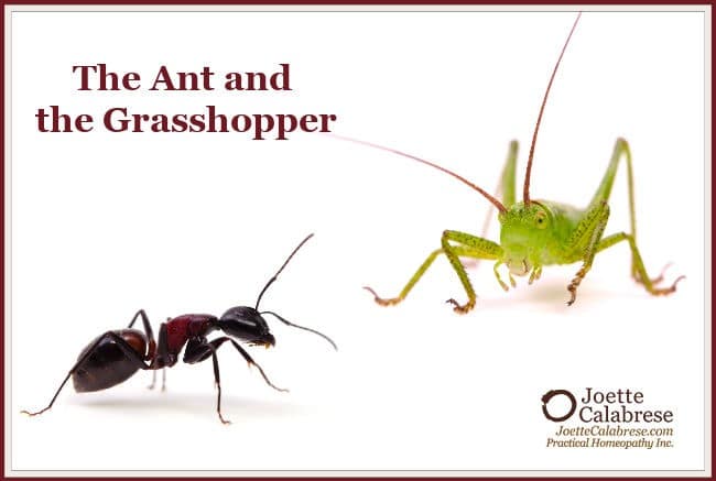 The Ant And The Grasshopper Activities