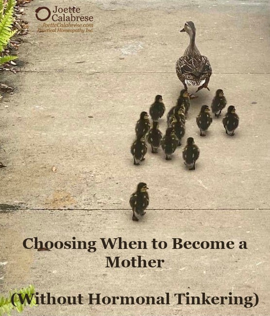 Choosing When to Become a Mother (Without Hormonal Tinkering)