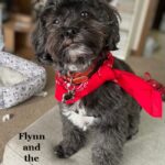Flynn and the Not-So-Fun Fireworks