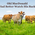 Old MacDonald Had Better Watch His Back
