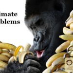Primate Problems