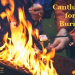Cantharis for Burns