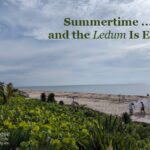 Summertime and the <em>Ledum</em> Is Easy