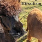 Hirsutism? Not by the Hair on Our Chinny Chin Chins!