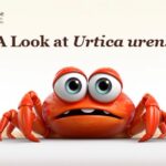 A Look at <em>Urtica urens</em>
