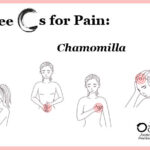 3 Cs for Pain, Part 1: <em>Chamomilla</em>