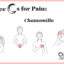 3 Cs for Pain Chamomilla Joette Calabrese, Practical Homeopathy®
