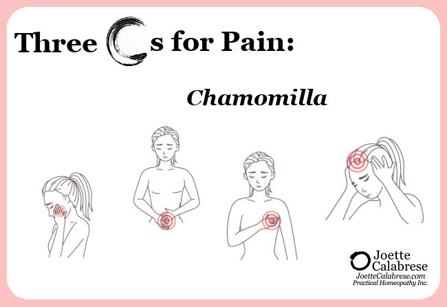 3 Cs for Pain Chamomilla Joette Calabrese, Practical Homeopathy®