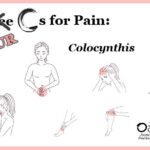 <s>Three</s> 4 Cs for Pain, Part 4: <em>Colocynthis</em>