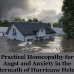 Practical Homeopathy® for Angst and Anxiety in the Aftermath of Hurricane Helene