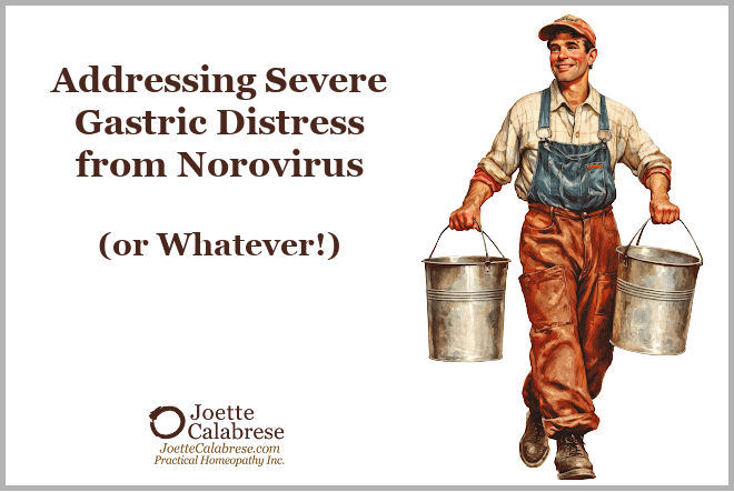 Joette Calabrese, Practical Homeopathy®, Addressing Severe Gastric Distress from Norovirus (or Whatever!)