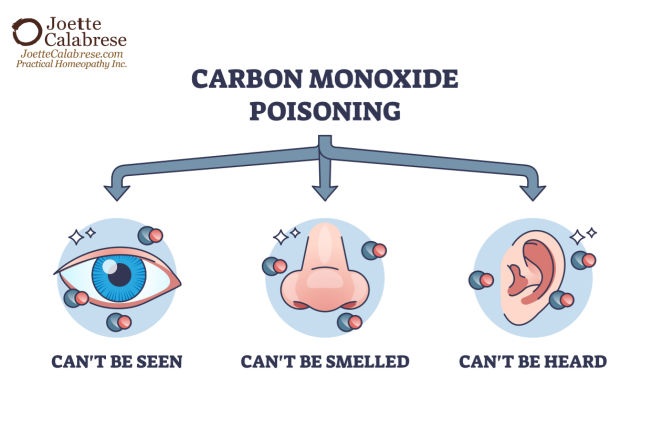 Joette Calabrese, Practical Homeopathy®, 2. Carbon Monoxide: How to Antidote Poisonous Toxins With Homeopathy Series