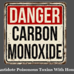 2. Carbon Monoxide: How to Antidote Poisonous Toxins With Homeopathy Series